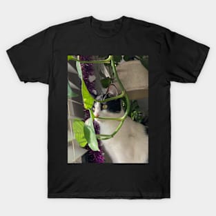 Demogorgon cat (infected_666's cat) T-Shirt